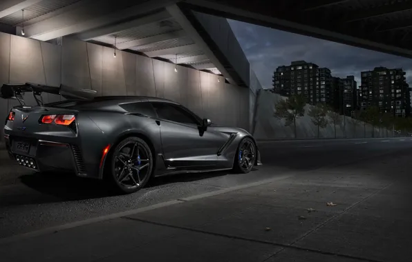 Corvette, Chevrolet, ZR1, вид сзади, 2019