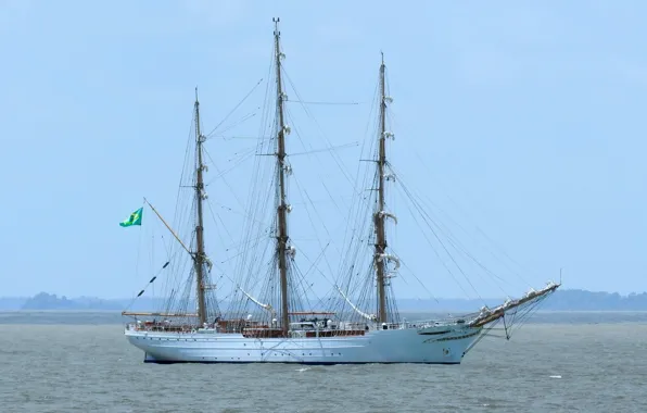 Парусник, Бразилия, Cisne Branco