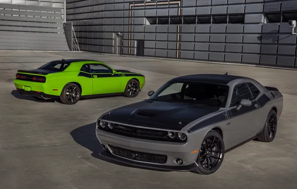 Dodge, Challenger, автомобили, cars, auto, wallpapers, T/A, T/A 392