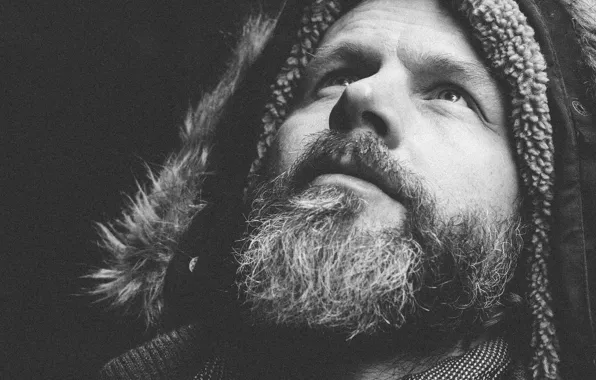 Eyes, man, bearded