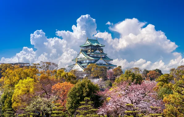 Весна, сакура, Japan, цветение, pink, дворец, blossom, sakura