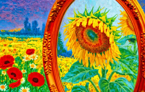 Поле, лето, листья, природа, отражение, синева, маки, подсолнух