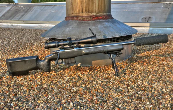 Оптика, глушитель, Карабин, CZ 557