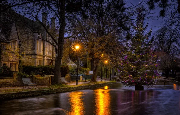 Картинка Water, night, Christmas tree, Bourton