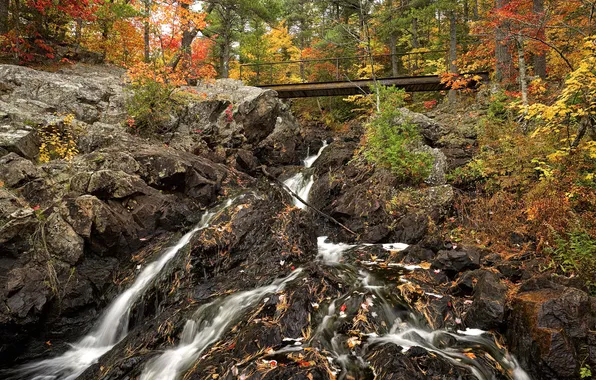 Картинка осень, лес, деревья, горы, мост, ручей, камни, скалы