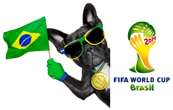Logo, dog, football, flag, funny, cool, World Cup, Brasil