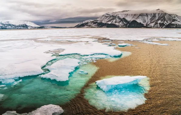 Arctic, icebreaker, ice floes