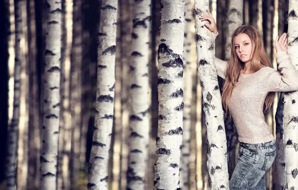 Картинка девушка, берёзы, Tanja