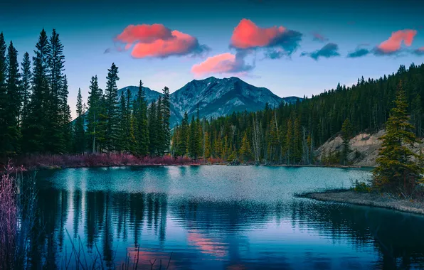 Лес, облака, горы, озеро, Вечер, forest, mountains, clouds