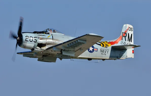 Картинка штурмовик, «Скайрейдер», Skyraider, A-1