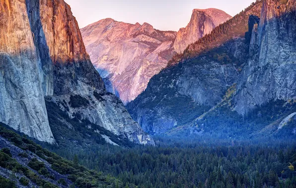 Лес, пейзаж, горы