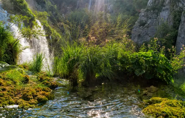Картинка трава, ручей, скалы, водопад, мох, солнечно, кусты, Хорватия