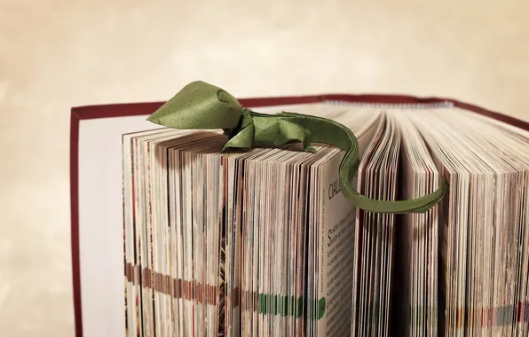 Картинка ящер, книга, оригами