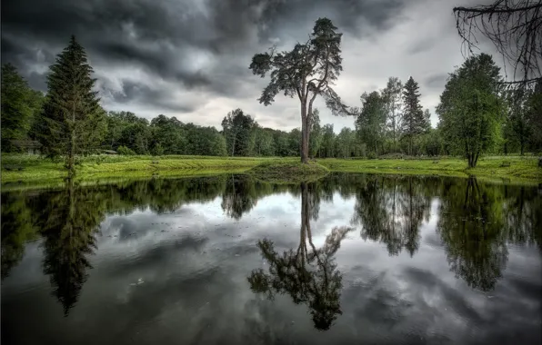Деревья, тучи, озеро, отражение