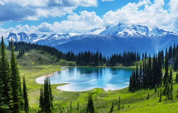 Лес, озеро, Canada, landscape, lake, Banff National park, Moraine