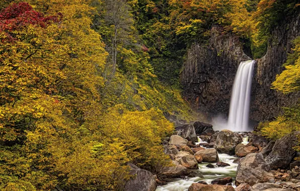 Осень, лес, ручей, водопад, Япония, панорама, Japan, Ниигата