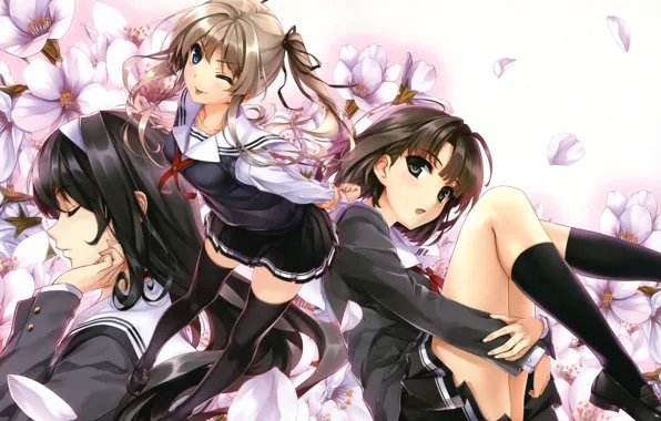 Цветы, девушки, арт, форма, misaki kurehito, kasumigaoka utaha, katou megumi, saenai heroine no sodatekata