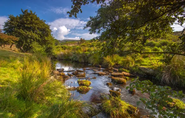 Картинка деревья, река, Англия, речка, England, Peak District National Park, Derbyshire, Дербишир