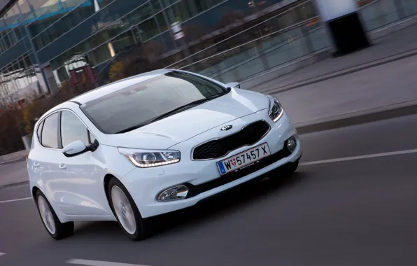 Kia, ceed, x edition