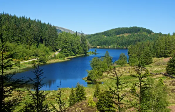 Картинка дорога, зелень, лес, лето, солнце, деревья, озеро, Шотландия