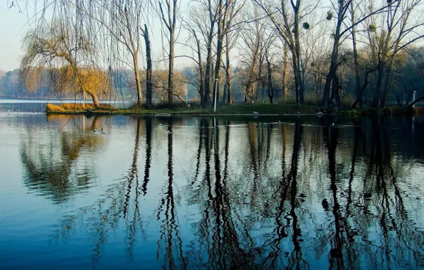 Картинка вода, деревья, озеро, парк, весна