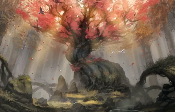 Картинка осень, лес, листья, птицы, корни, камни, дерево, арт