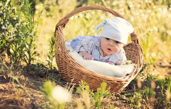 Картинка цветы, корзина, ромашки, шапочка, младенец