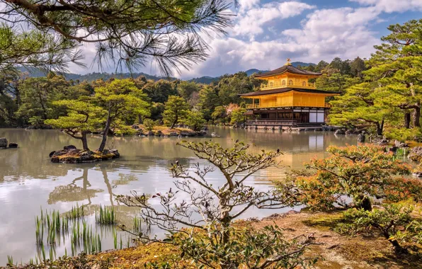 Картинка деревья, озеро, парк, замок, берег, Япония, Киото, островки