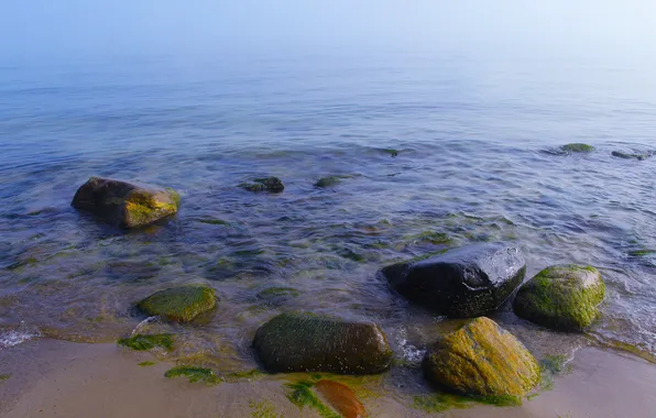 Beach, sea, water, stones