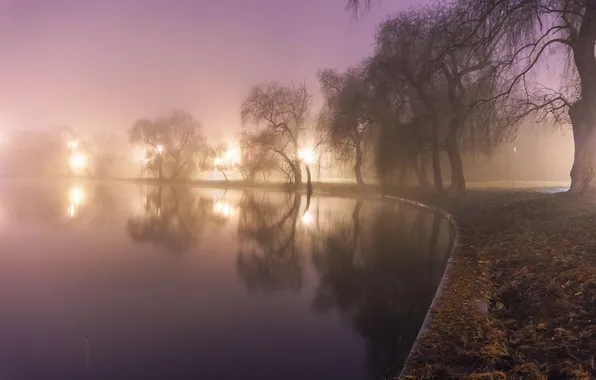 Картинка вода, свет, деревья, туман, пруд, парк, фонари