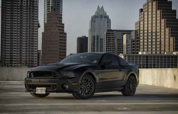 Картинка Mustang, Ford, Shelby, GT500, Muscle, Car, Black, 2014