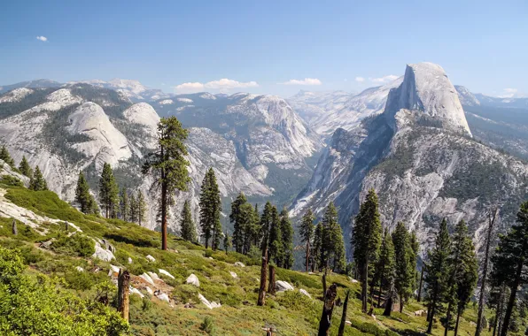 Картинка деревья, горы, скалы, склон, California, Yosemite Valley, Yosemite National Park, Glacier Point