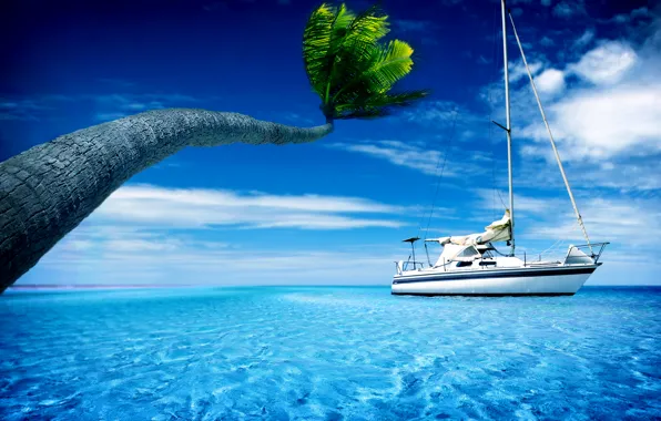 Картинка лето, небо, вода, пальма, пальмы, лодка, жара, яхты