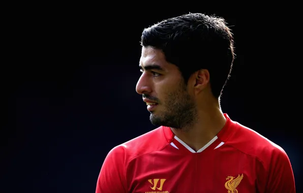 Спорт, Футбол, forward, Football, Ливерпуль, Anfield, YNWA, Уругвай