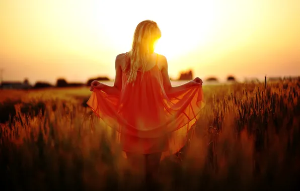 Картинка поле, девушка, солнце, макро, закат, природа, фон, красное