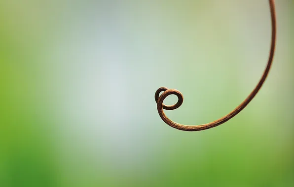 Green background, tendril, looping