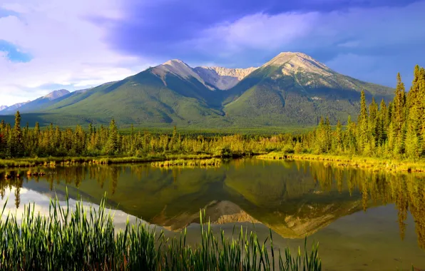 Горы, озеро, отражение, Канада, панорама, Альберта, Banff National Park, Alberta