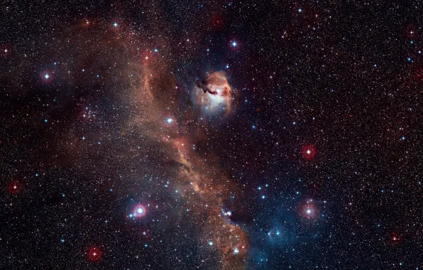 NGC 2327, HD 53367, Constellations Monoceros, IC 2177, The Seagull Nebula, Canis Major