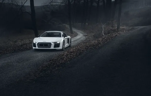 Картинка Audi, Road, V10, Plus, Forest, R8