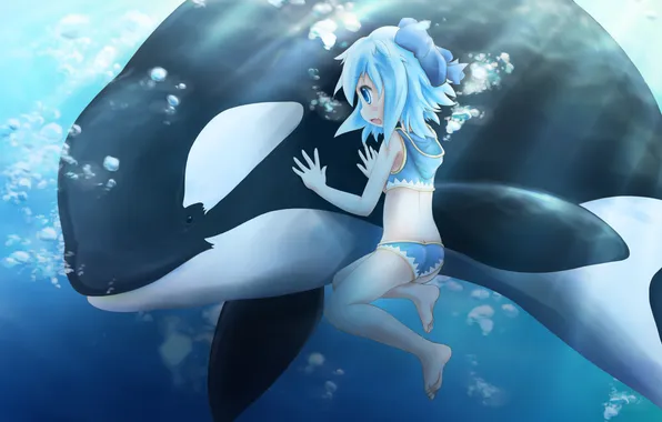 Картинка дельфин, пузыри, арт, девочка, под водой, touhou, cirno, manahui