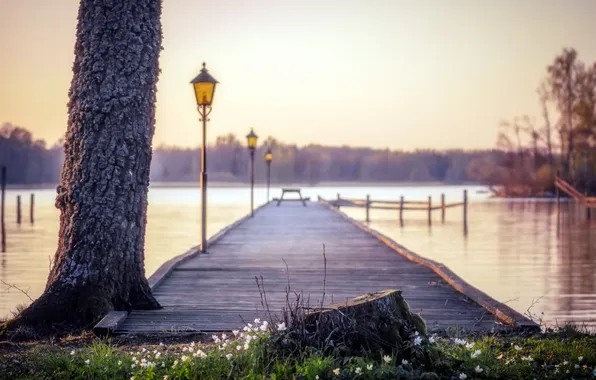 Пейзаж, мост, озеро