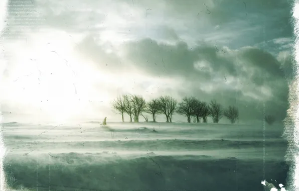 Картинка зима, грусть, деревья, Обработка