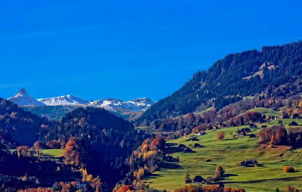Картинка осень, трава, деревья, горы, дома, Швейцария, долина