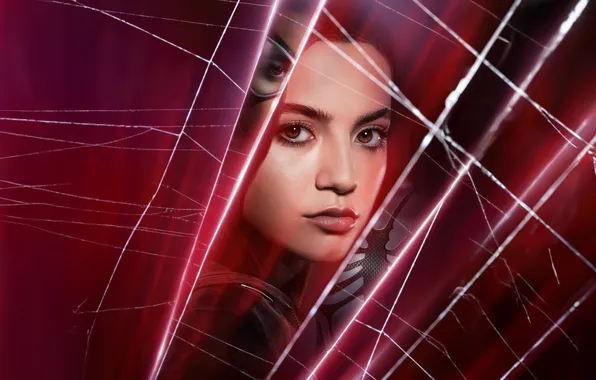 Взгляд, портрет, постер, Isabela Moner, Isabela Merced, Изабела Мерсед, Madame Web, Аранья