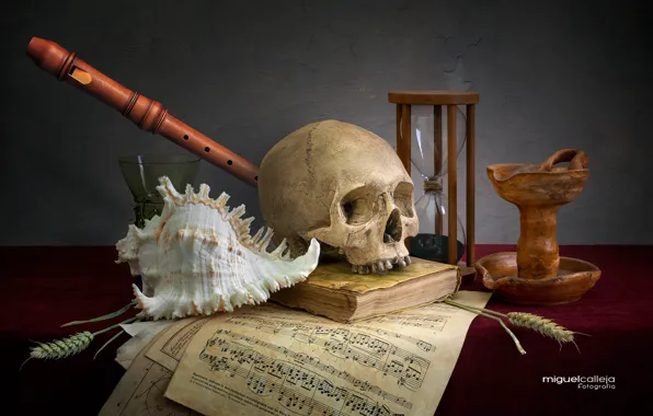 Ноты, череп, ракушка, колоски, книга, натюрморт, флейта, песочные часы
