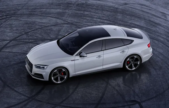 Audi, сверху, Audi A5, 2019, S5 Sportback