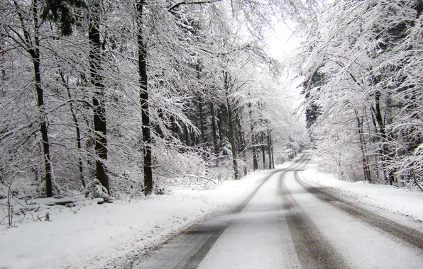 Картинка зима, дорога, лес, снег, пасмурно, поворот, вдаль