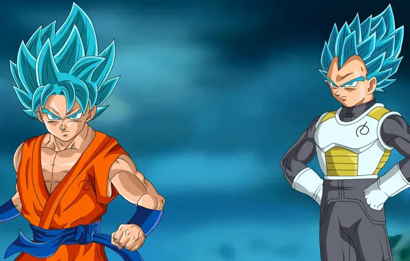 DBS, alien, anime, power, martial artist, warrior, manga, powerful