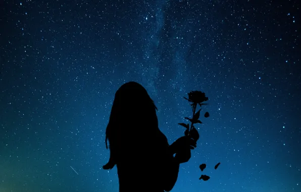 Star, night, silhouette