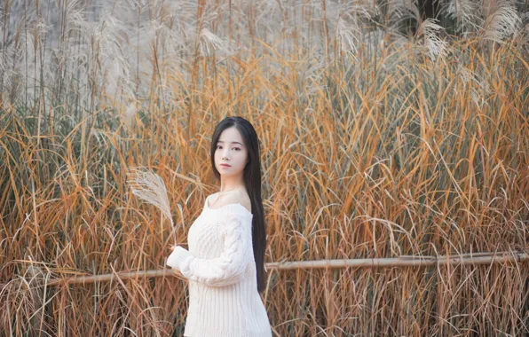 Beautiful, Asian, Model, Woman, Pretty, Hair, Pose, Sweater